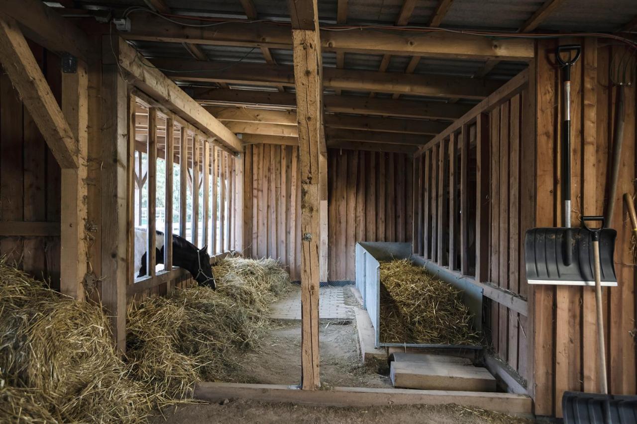 Ranchhouse Bubble - Westernstable - Horse エルターライン エクステリア 写真