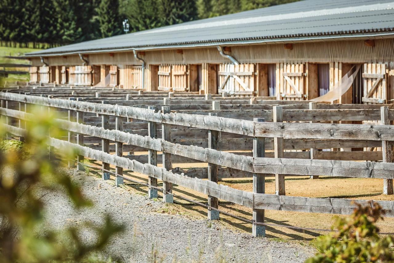 Ranchhouse Bubble - Westernstable - Horse エルターライン エクステリア 写真