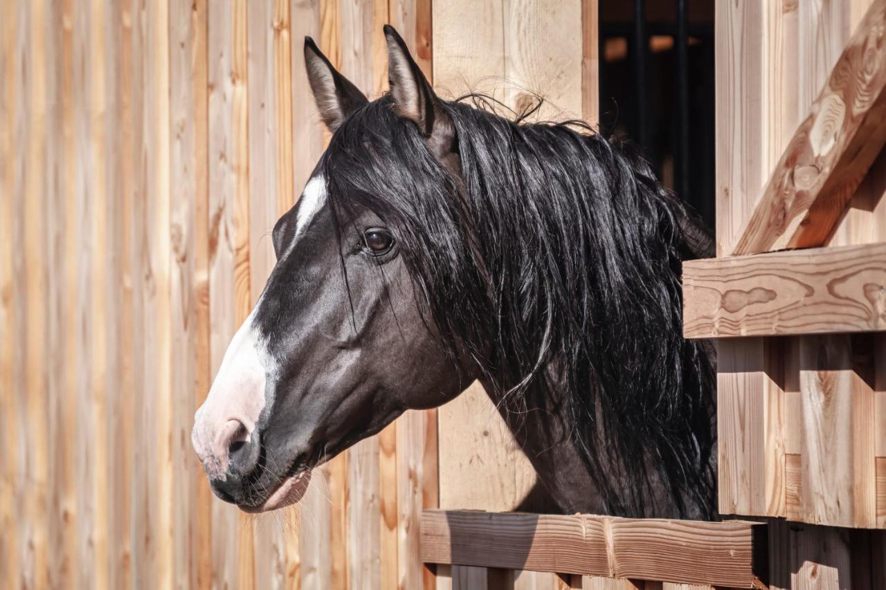 Ranchhouse Bubble - Westernstable - Horse エルターライン エクステリア 写真